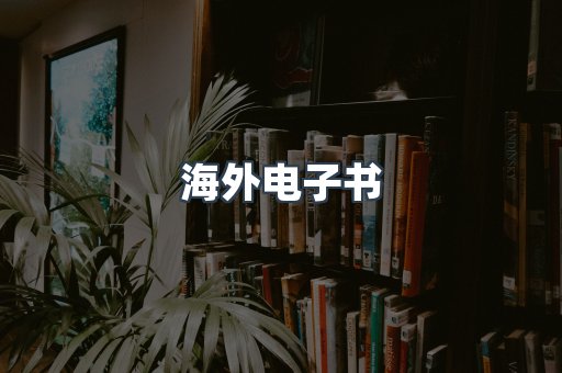 海外电子书